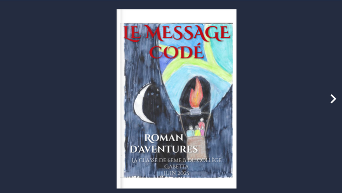 message codé couverture .png